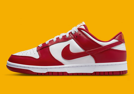 Nike Dunk Low Gym Red ' USC ' (2022)